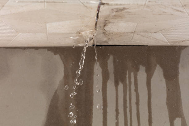 Professional Burst Pipe Cleanup technician working in Fowler, MI